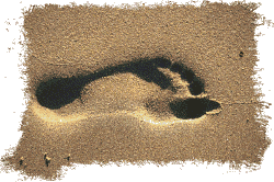 buttprint-foot1.gif (21804 bytes)